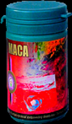 MACA